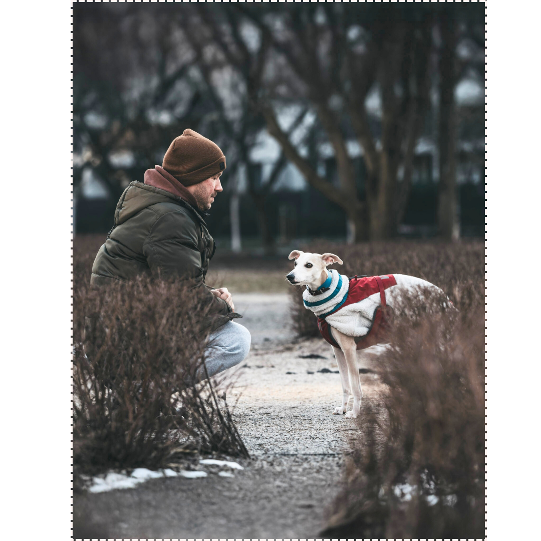 fitcontent - 2026-03-08T132150.288