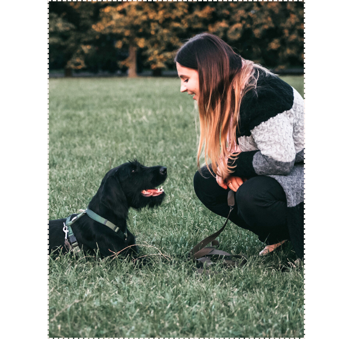 fitcontent - 2026-03-08T132201.469